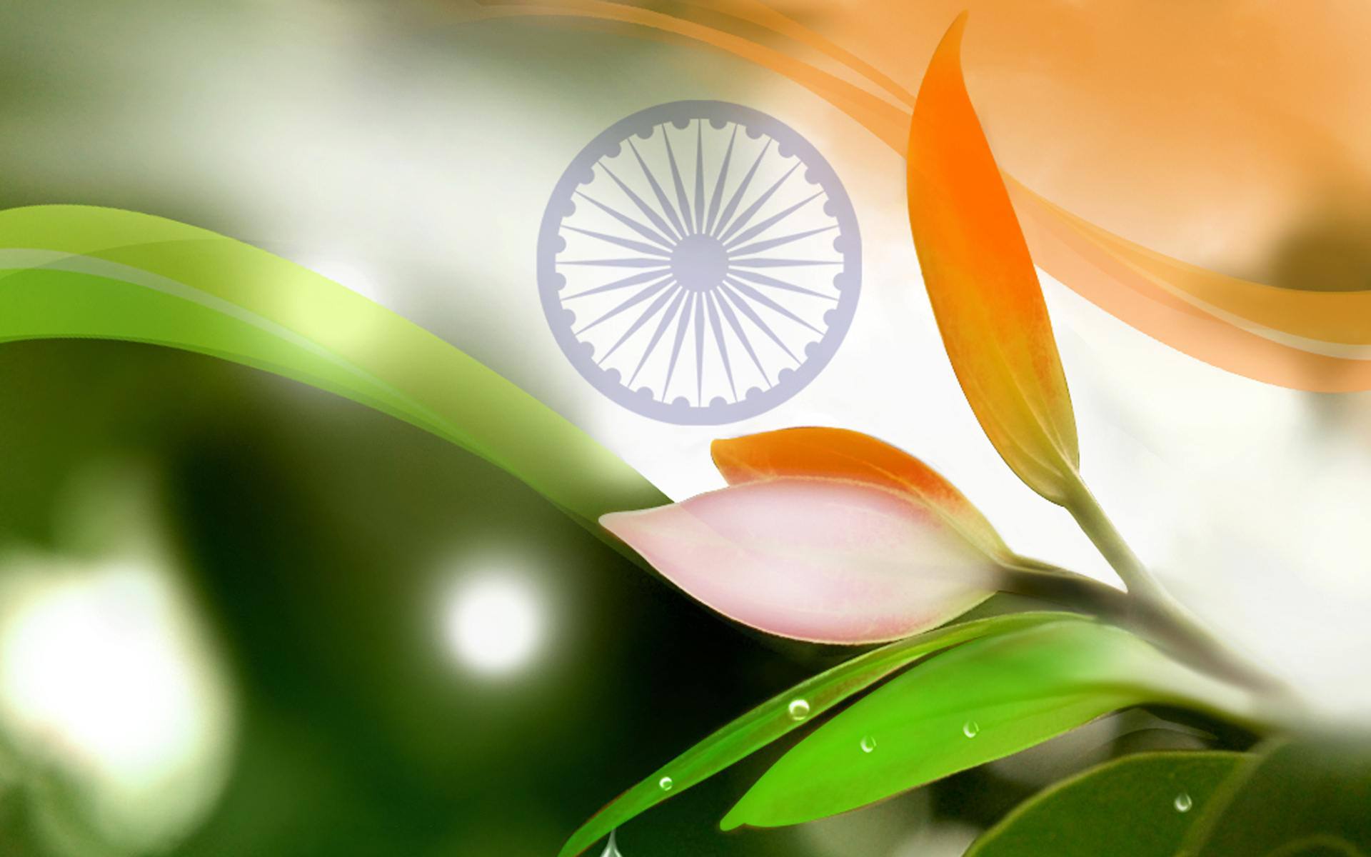 Independence Day Whatsapp DP Images & Wallpapers ...