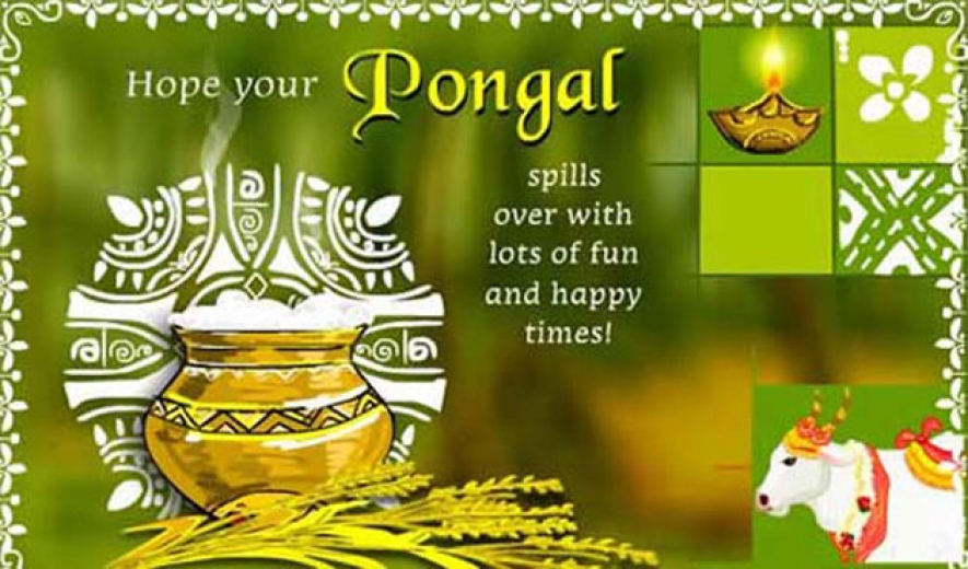 Pongal Whatsapp Status & Messages 2018