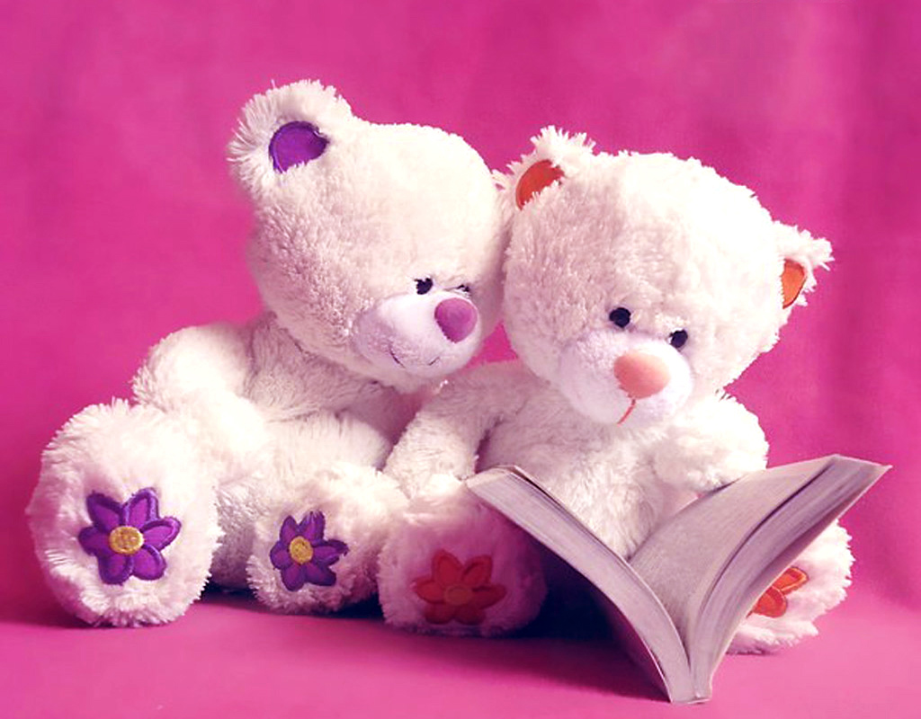 Teddy Day Images for Whatsapp DP, Profile Wallpapers ...