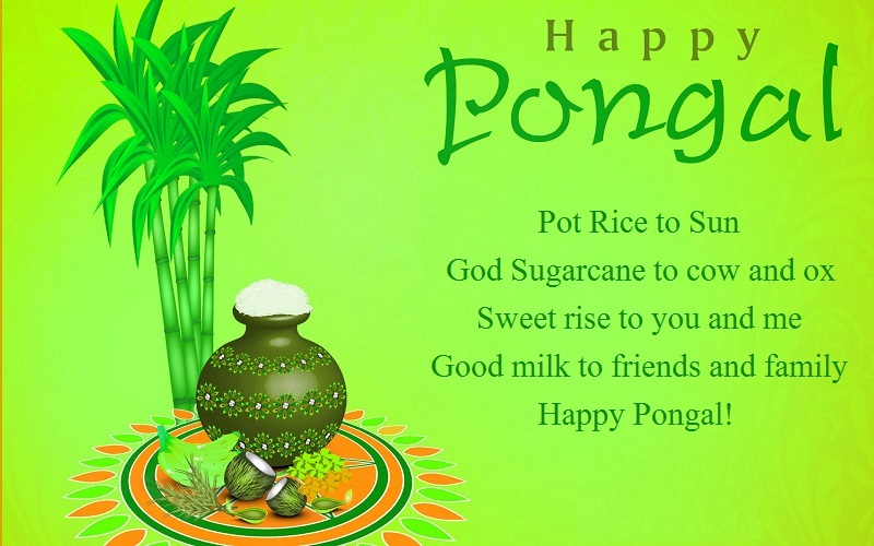 Pongal Whatsapp Status & Messages